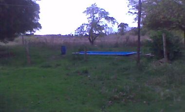Campo de 10 Has. en La Carolina, Ing. Allan, Fcio. Varela
