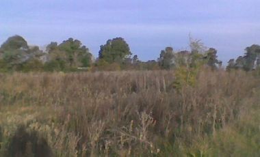 Campo de 10 Has. en La Carolina, Ing. Allan, Fcio. Varela