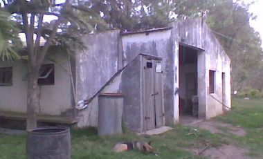 Campo de 10 Has. en La Carolina, Ing. Allan, Fcio. Varela