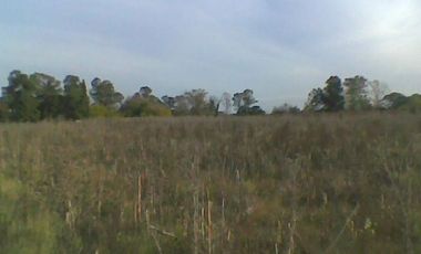 Campo de 10 Has. en La Carolina, Ing. Allan, Fcio. Varela
