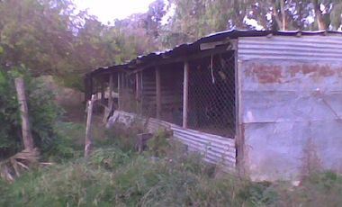Campo de 10 Has. en La Carolina, Ing. Allan, Fcio. Varela