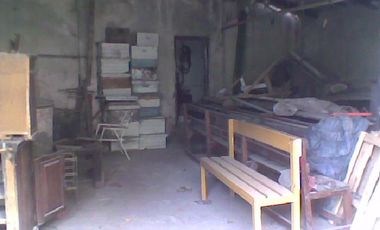 Campo de 10 Has. en La Carolina, Ing. Allan, Fcio. Varela