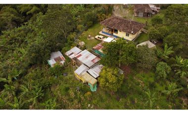 PEQUEÑA FINCA EN FILANDIA