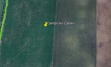 133 hectareas a la venta al Noroeste de Castex (en condominio)