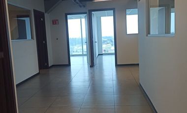 Excelente Oficina Acondicionada en Renta 1706m2. La Viga