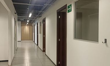 Excelente Oficina Acondicionada en Renta 1706m2. La Viga