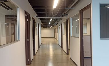 Excelente Oficina Acondicionada en Renta 1706m2. La Viga