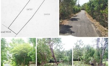 Tanah Murah Posisi Hoek lokasi Pecatu Kuta Selatan