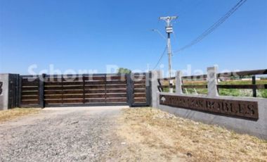 Parcela en Venta en OPORTUNIDAD!!!! Parcela de agrado , El Sauce, con camino pavimentado