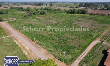 Parcela en Venta en OPORTUNIDAD!!!! Parcela de agrado , El Sauce, con camino pavimentado