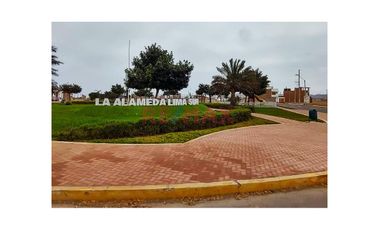 ¡OPORTUNIDAD EXCLUSIVA PARA CONSTRUIR TU CASA DE CAMPO! 

En este momento uno de los distritos con mayor potencial de la región es CHILCA

En el s