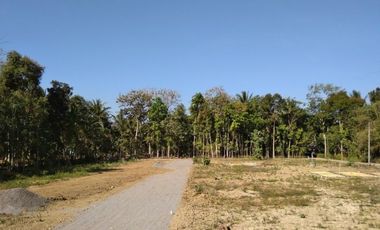 Tanah Perumahan Purworejo Barat Bandara YIA, Sertifikat Di Jamin Aman