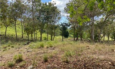 VENDO TERRENO DE 63 HECTAREAS PUERTO ARMUELLES