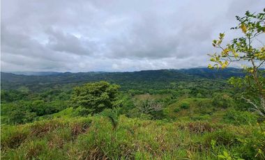 VENDO TERRENO DE 63 HECTAREAS PUERTO ARMUELLES