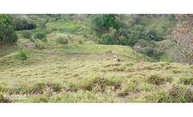 VENDO TERRENO DE 63 HECTAREAS PUERTO ARMUELLES
