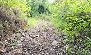 VENDO TERRENO DE 63 HECTAREAS PUERTO ARMUELLES