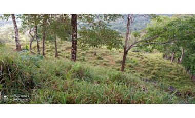 VENDO TERRENO DE 63 HECTAREAS PUERTO ARMUELLES