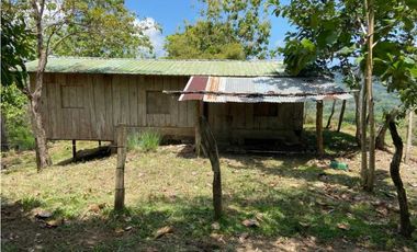 VENDO TERRENO DE 63 HECTAREAS PUERTO ARMUELLES