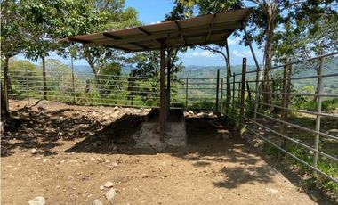 VENDO TERRENO DE 63 HECTAREAS PUERTO ARMUELLES