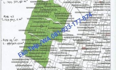 Tanah Kebun 100 ha Murah Cocok Untuk KEBUN JAGUNG Lombok