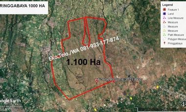 Tanah Kebun 100 ha Murah Cocok Untuk KEBUN JAGUNG Lombok