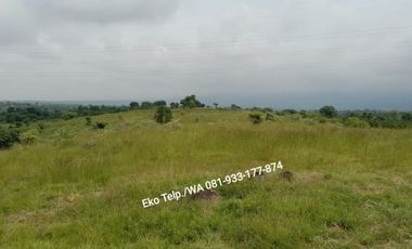 Tanah Kebun 100 ha Murah Cocok Untuk KEBUN JAGUNG Lombok