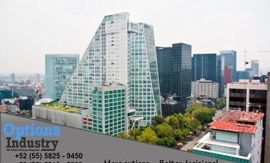 Excellent Office for lease  Reforma