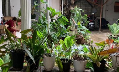 Rumah Luas Dan Besar Ada Kamar Kontrakan Di Menteng Jaksel