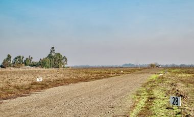 Vendo Parcelas Cerca a 25 min de Talca en San Rafael Chile