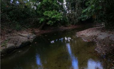 VENTA DE FINCA EN SAN CARLOS, MONTERIA