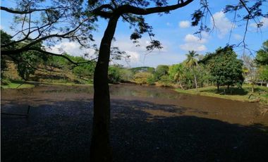 VENTA DE FINCA EN SAN CARLOS, MONTERIA