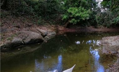 VENTA DE FINCA EN SAN CARLOS, MONTERIA
