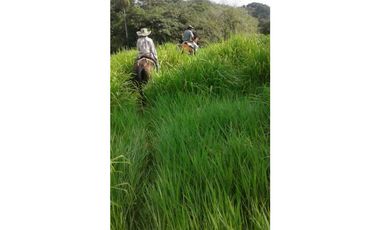 VENTA DE FINCA EN SAN CARLOS, MONTERIA