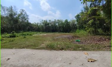 Dekat Pasar Sungapan, Tanah Kavling Murah di Sedayu Jogja