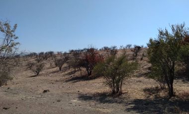 HACIENDA CHACABUCO (NO HAY CONSTRUCCIÓN)