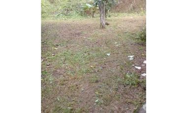 VENDO CASA DE CAMPO Y 900M2 EN EL NANCITO