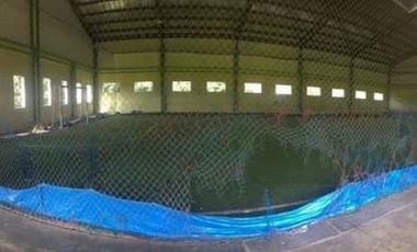 Ruko Futsal Cucian Mobil Strategis Laris Jl. Pancasila Kuningan Jabar