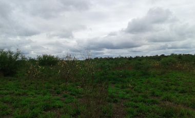 Campo en Bazán, Formosa