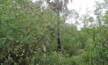 Campo en Bazán, Formosa