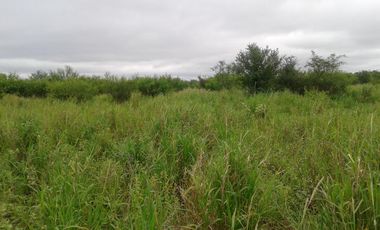 Campo en Bazán, Formosa