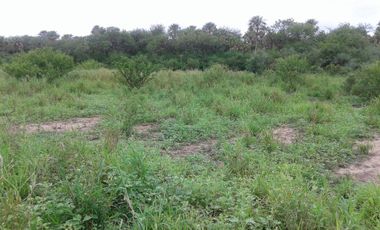 Campo en Bazán, Formosa