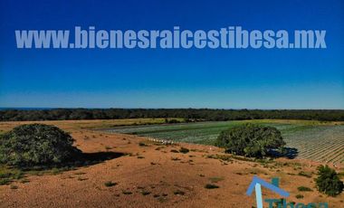 Terrenos Playas en Mazatlánn Frente de Playa 1 kilometro  | Una inversión inigualable a Pie de Playas Mazatlán