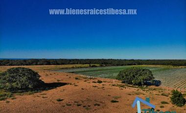 Terrenos Playas en Mazatlánn Frente de Playa 1 kilometro  | Una inversión inigualable a Pie de Playas Mazatlán