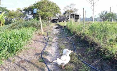 OPORTUNIDAD - VENDO FINCA GANADERA - MESA DE LOS SANTOS