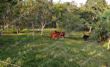 OPORTUNIDAD - VENDO FINCA GANADERA - MESA DE LOS SANTOS