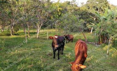 OPORTUNIDAD - VENDO FINCA GANADERA - MESA DE LOS SANTOS