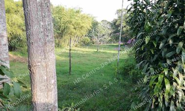 OPORTUNIDAD - VENDO FINCA GANADERA - MESA DE LOS SANTOS