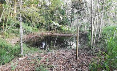 OPORTUNIDAD - VENDO FINCA GANADERA - MESA DE LOS SANTOS