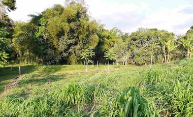 OPORTUNIDAD - VENDO FINCA GANADERA - MESA DE LOS SANTOS