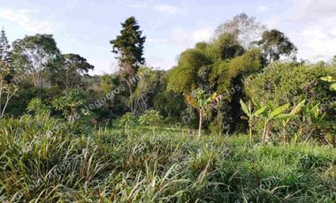 OPORTUNIDAD - VENDO FINCA GANADERA - MESA DE LOS SANTOS